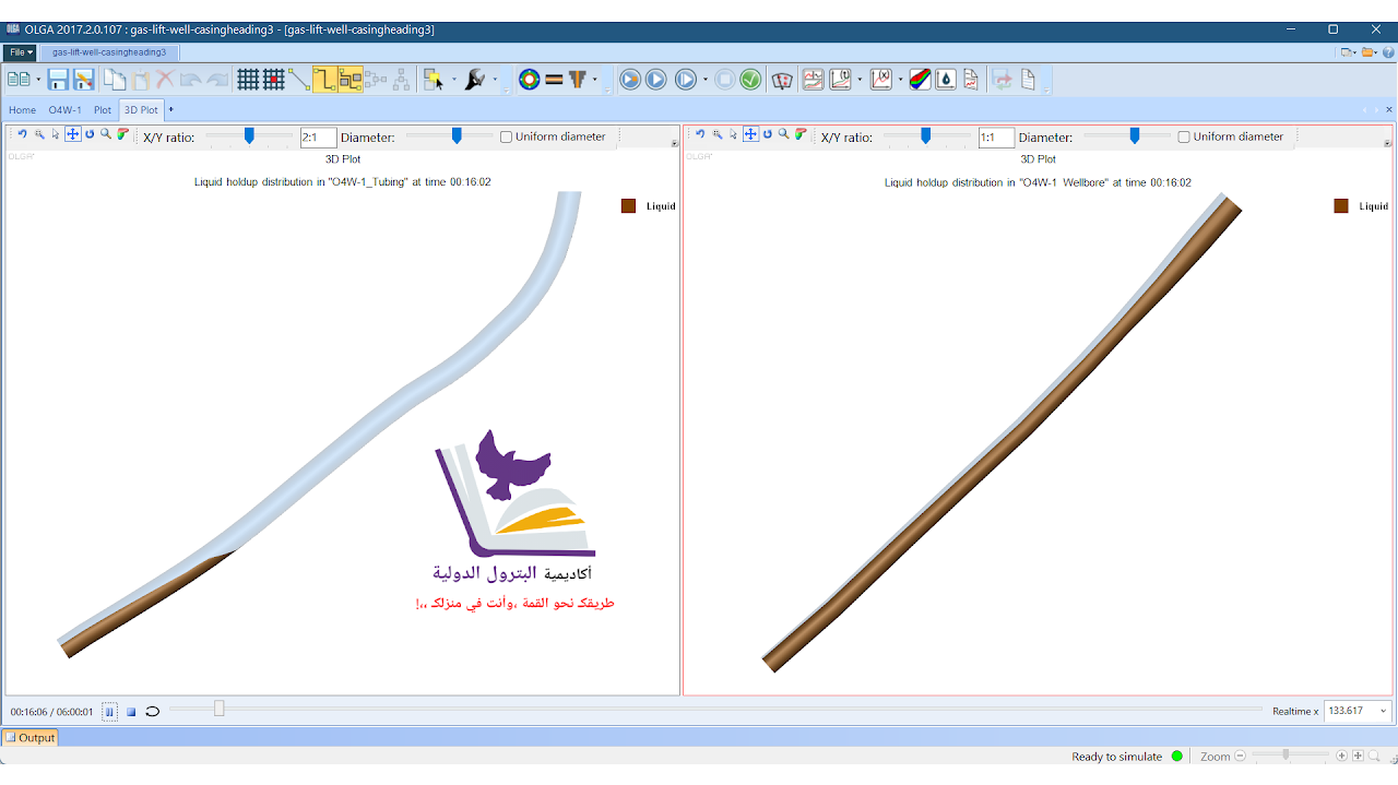 أكاديمية البترول الدولية - Dynamic Simulation Course