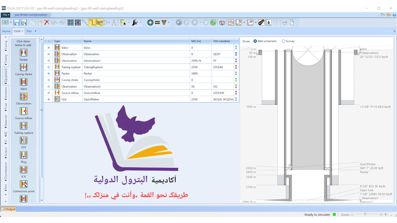 أكاديمية البترول الدولية - دورة خاصة